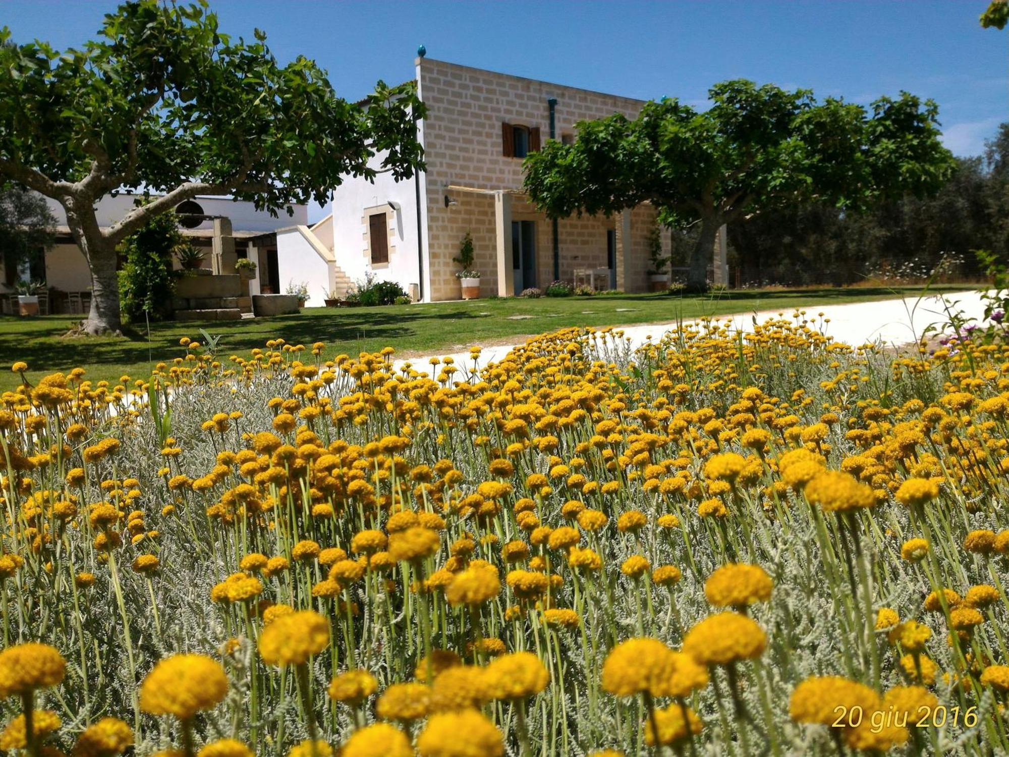 Masseria Vignenove Uggiano La Chiesa Eksteriør billede