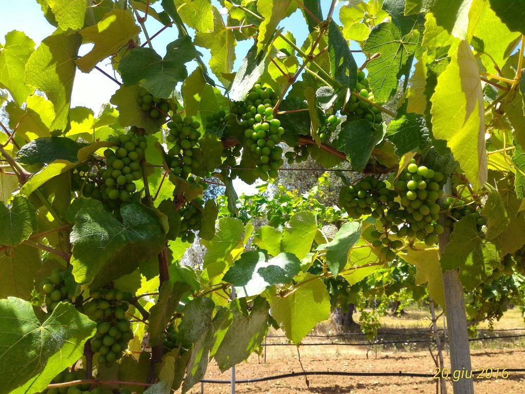 Masseria Vignenove Uggiano La Chiesa Eksteriør billede