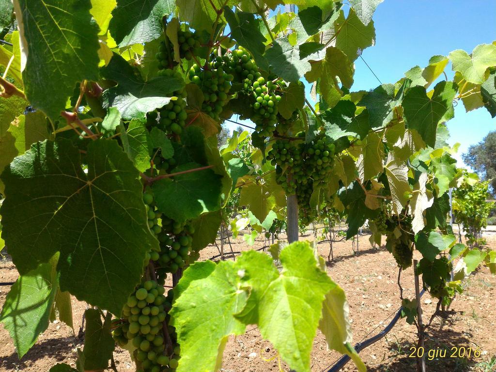 Masseria Vignenove Uggiano La Chiesa Eksteriør billede